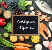 Colágeno Tipo II