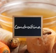 Condroitina